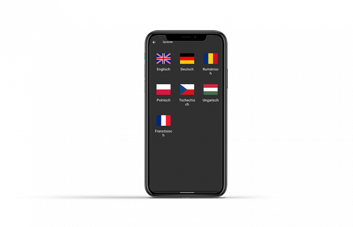 ubinam-ubiwork-sprachen ubinam-ubiwork-sprachen
